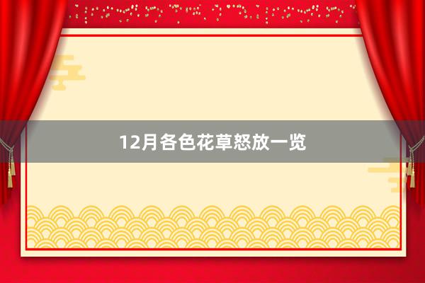 12月各色花草怒放一览