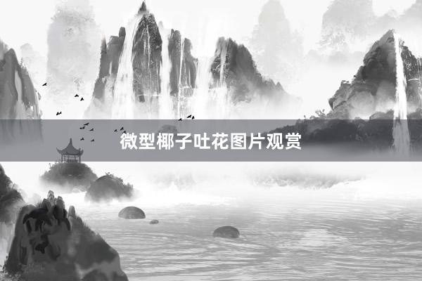 微型椰子吐花图片观赏
