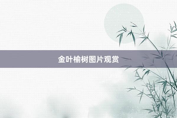 金叶榆树图片观赏